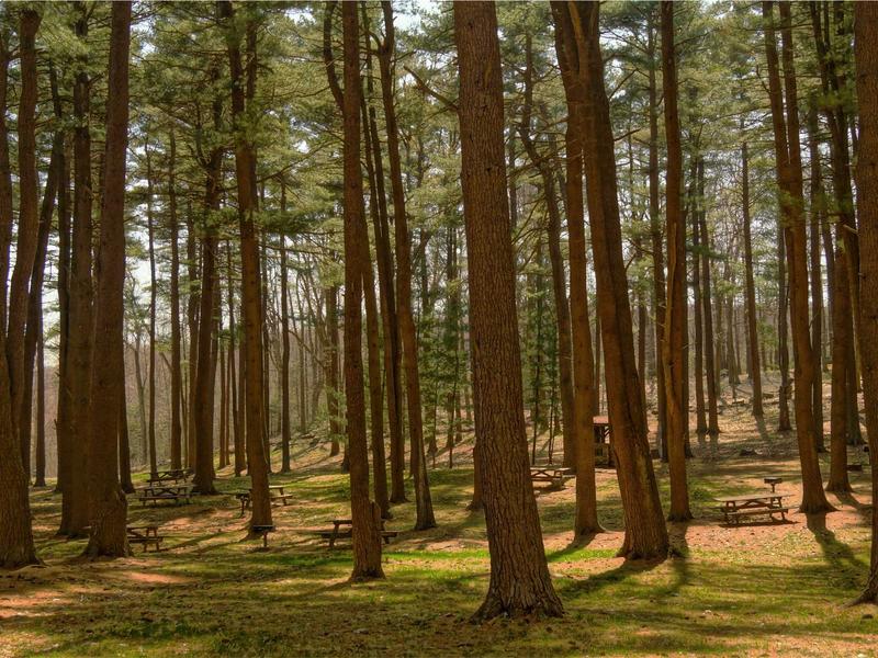 sudoku timer mode screenshot 5